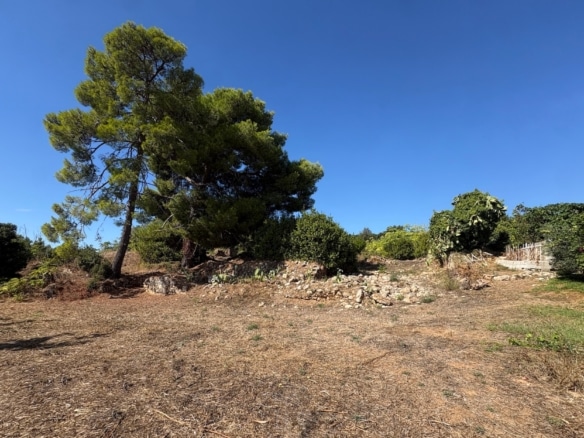 Kountourata Charming Plot in a Peaceful Natural Setting