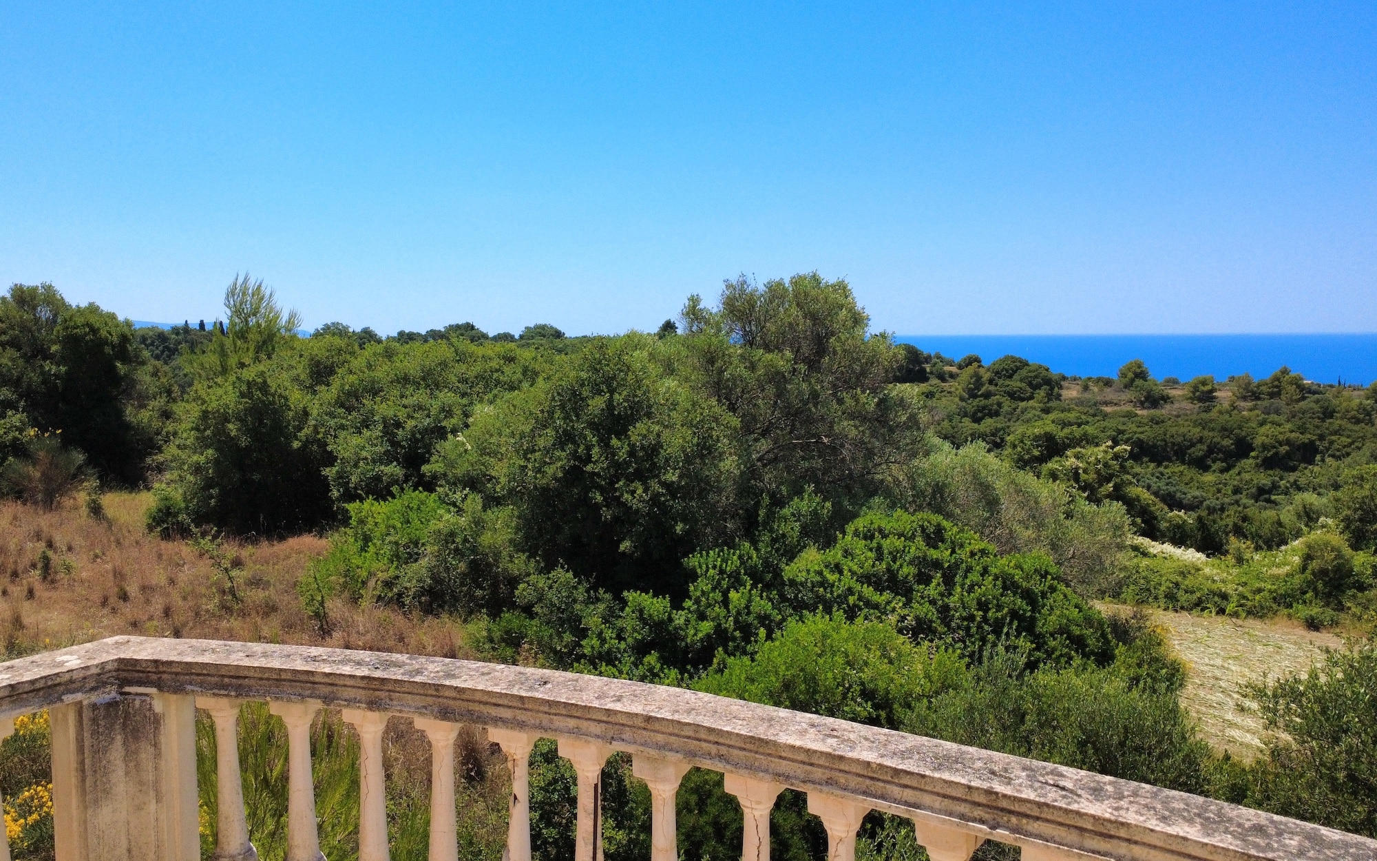 Livathos Exquisite Estate Renovation Project