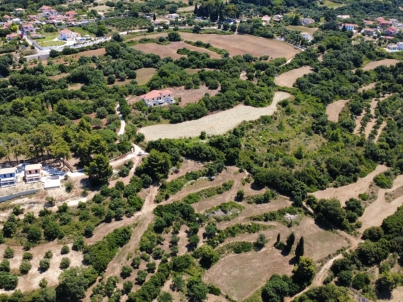 Livathos Exquisite Estate Renovation Project