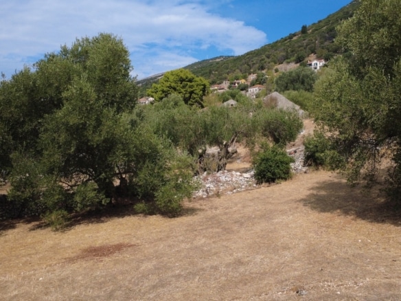 Faraklata Olive Grove, Vineyard & Historic Stone Building
