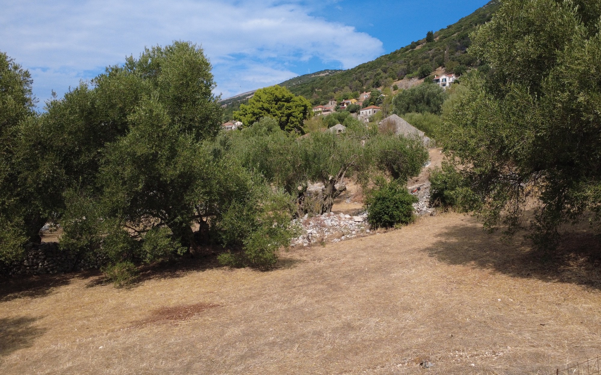 Faraklata Olive Grove, Vineyard & Historic Stone Building