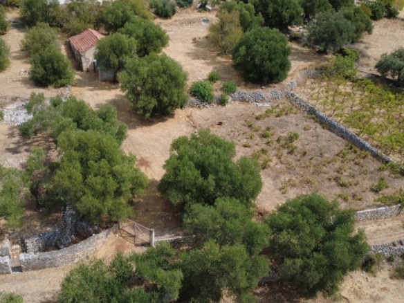 Faraklata Olive Grove, Vineyard & Historic Stone Building