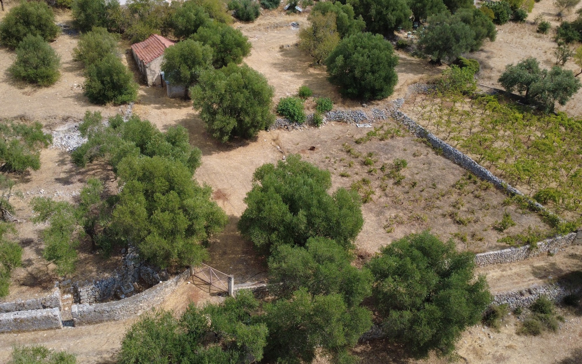 Faraklata Olive Grove, Vineyard & Historic Stone Building