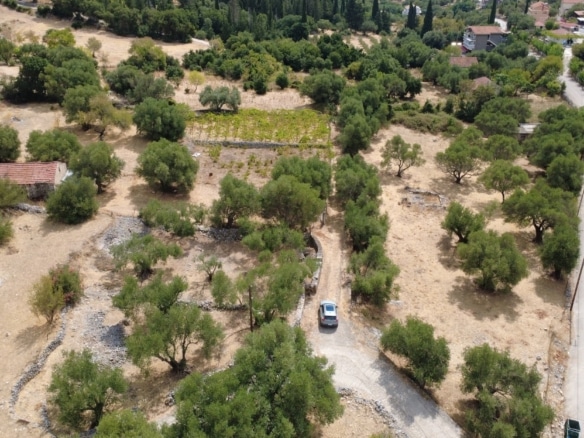 Faraklata Olive Grove, Vineyard & Historic Stone Building