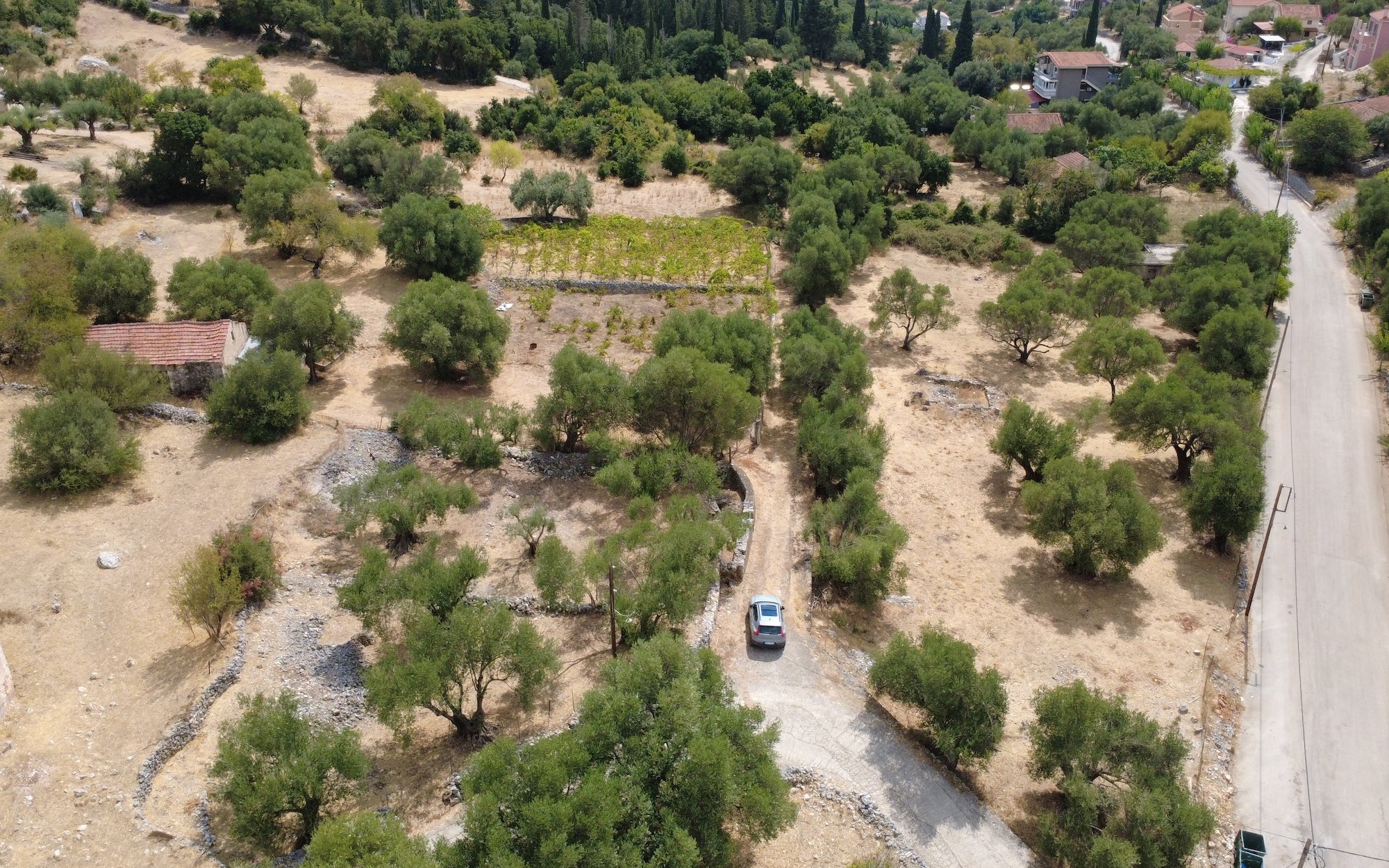 Faraklata Olive Grove, Vineyard & Historic Stone Building