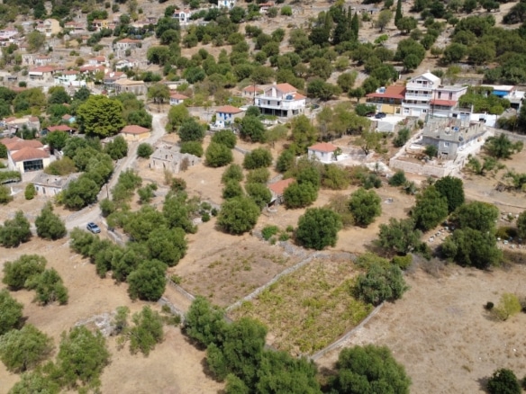 Faraklata Olive Grove, Vineyard & Historic Stone Building