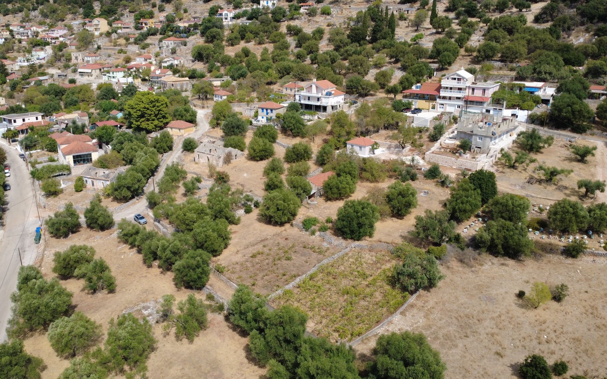Faraklata Olive Grove, Vineyard & Historic Stone Building