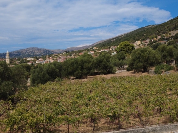 Faraklata Olive Grove, Vineyard & Historic Stone Building