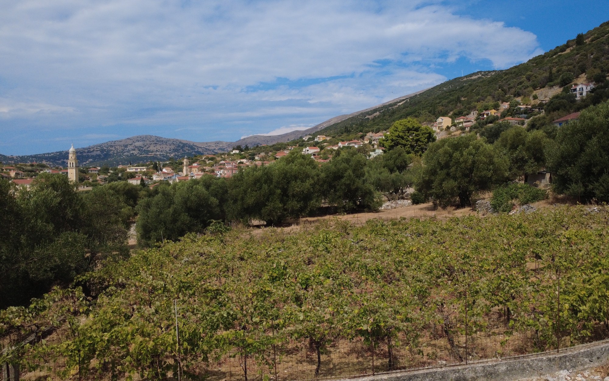 Faraklata Olive Grove, Vineyard & Historic Stone Building