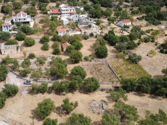 Faraklata Olive Grove, Vineyard & Historic Stone Building