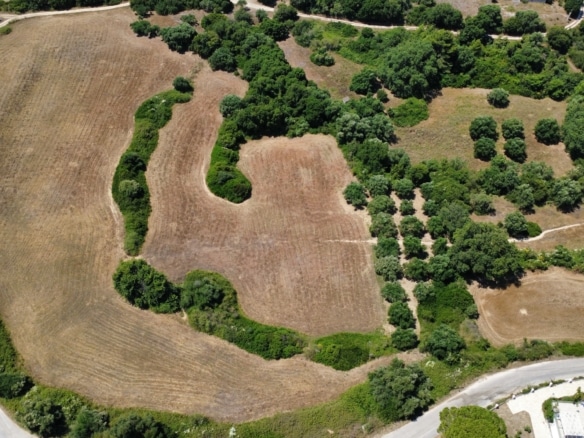 Livathos Exceptional Estate Plot Near Avithos Beach