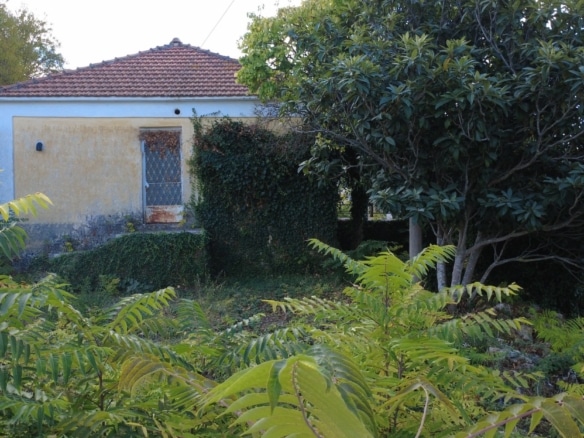 Korianna Charming Cottage And Generous Village Plot