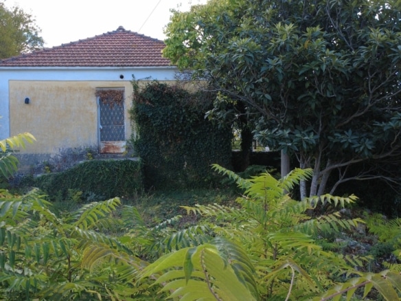 Korianna Charming Cottage And Generous Village Plot