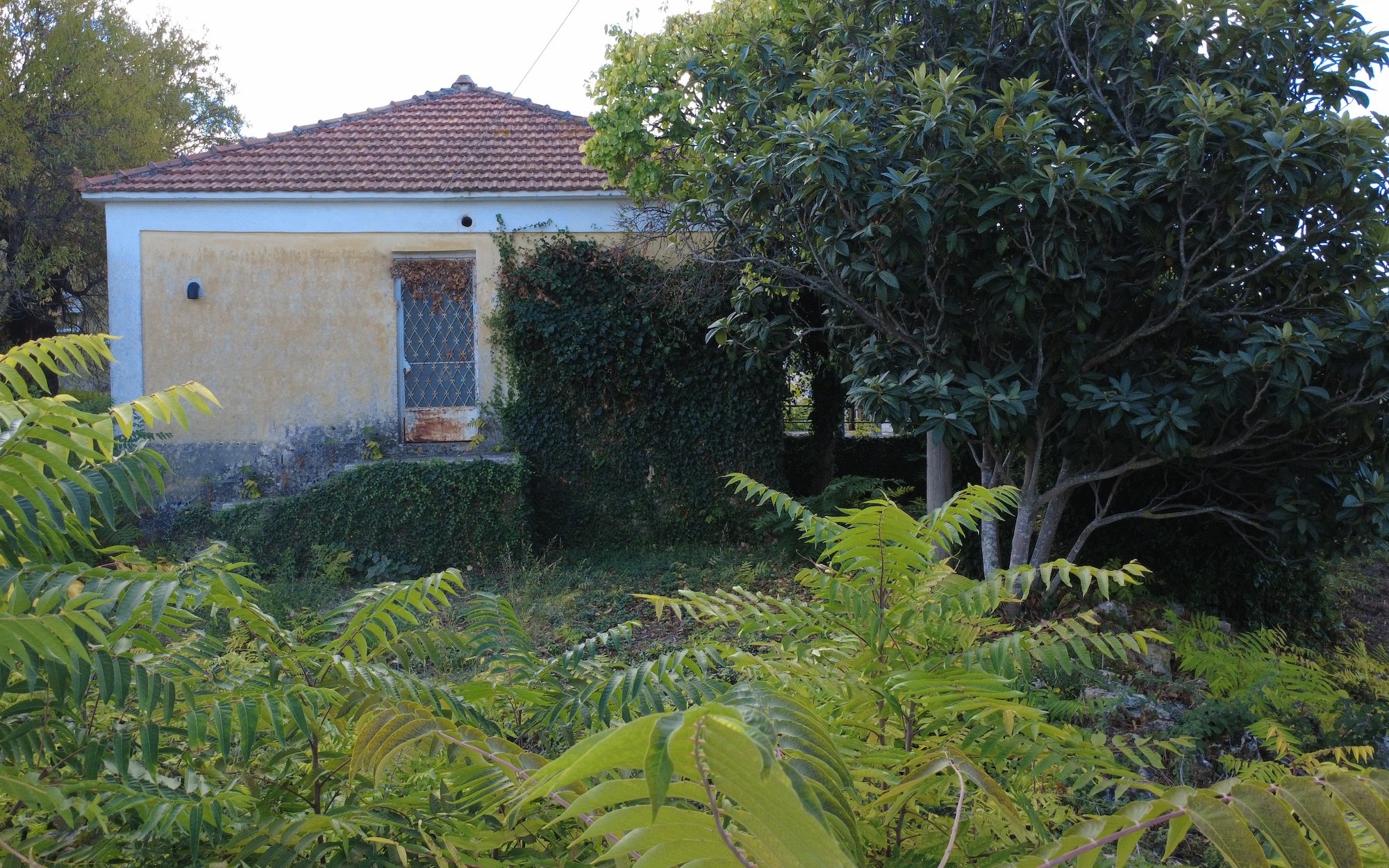 Korianna Charming Cottage And Generous Village Plot