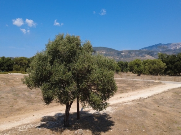 Kountourata Spacious Building Plot for Sale in Kefalonia