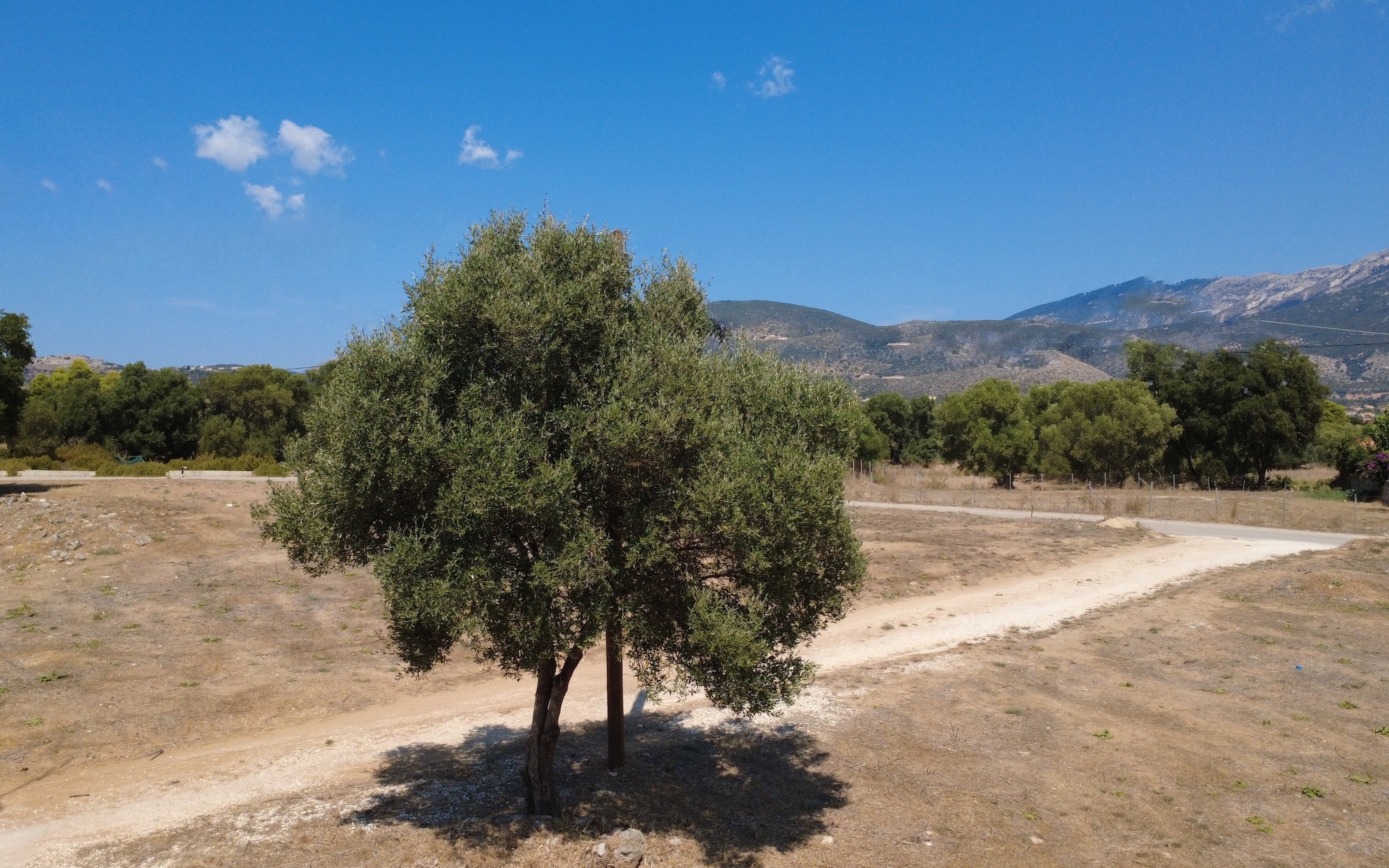 Kountourata Spacious Building Plot for Sale in Kefalonia
