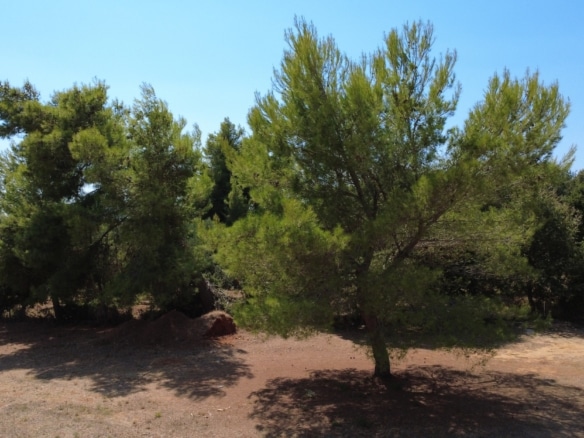 Kountourata Spacious Building Plot for Sale in Kefalonia
