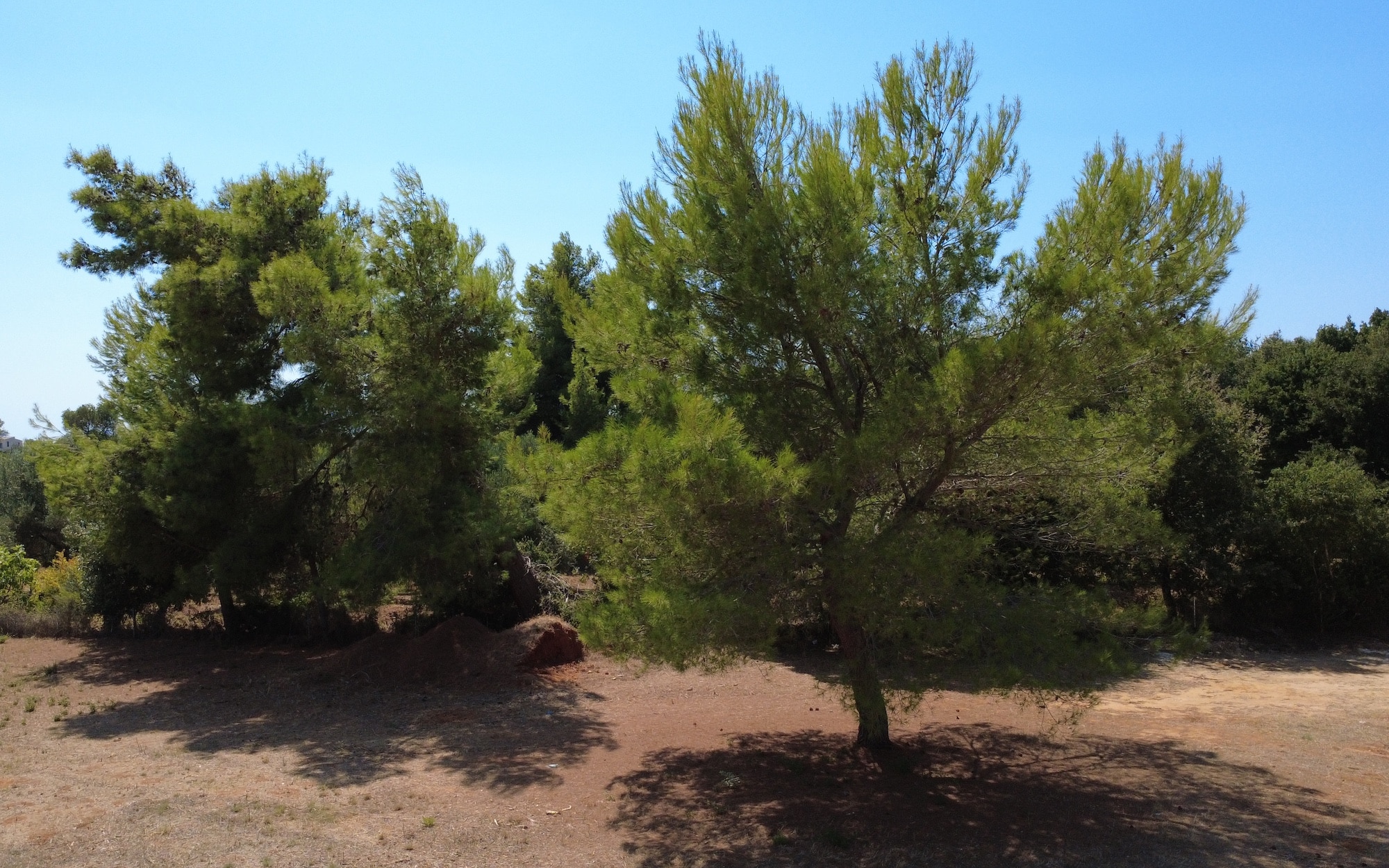 Kountourata Spacious Building Plot for Sale in Kefalonia