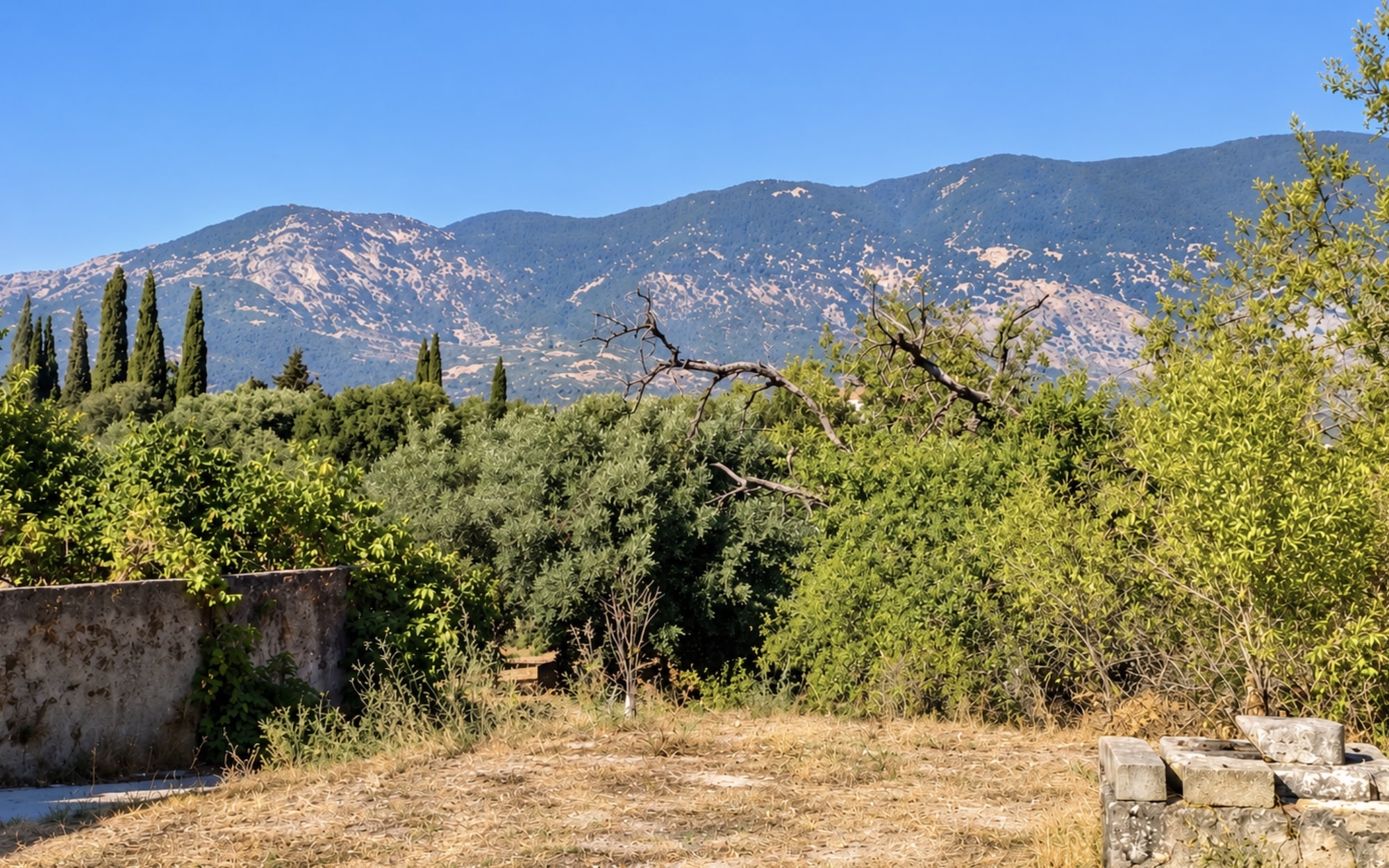 Klismata Charming Traditional Cottage