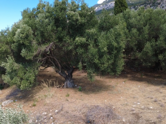 Simotata Spectacular Sea Views Plot
