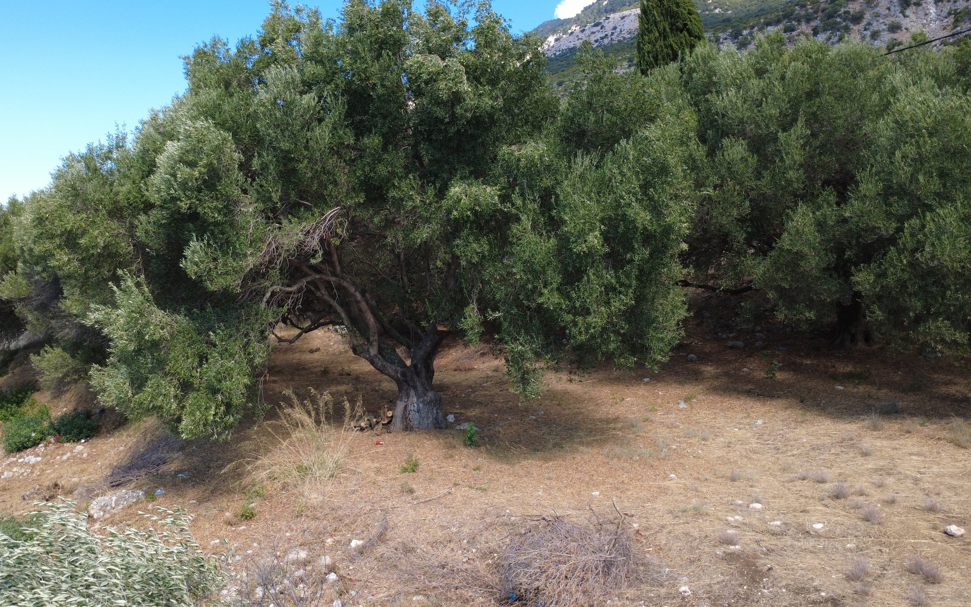 Simotata Spectacular Sea Views Plot