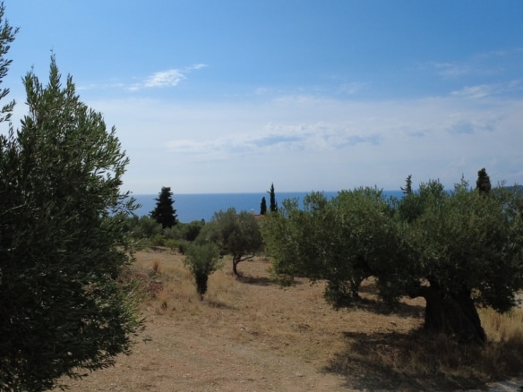 Trapezaki Premium Panoramic Views Plot