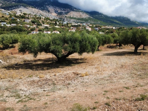 Trapezaki Premium Panoramic Views Plot