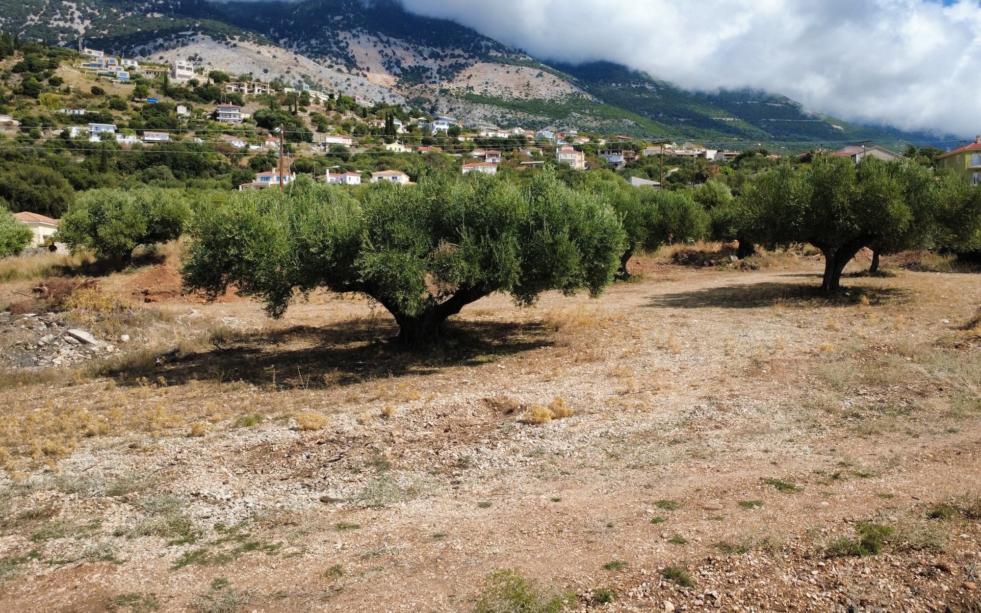 Trapezaki Premium Panoramic Views Plot