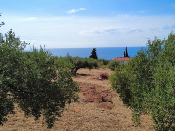 Trapezaki Premium Panoramic Views Plot