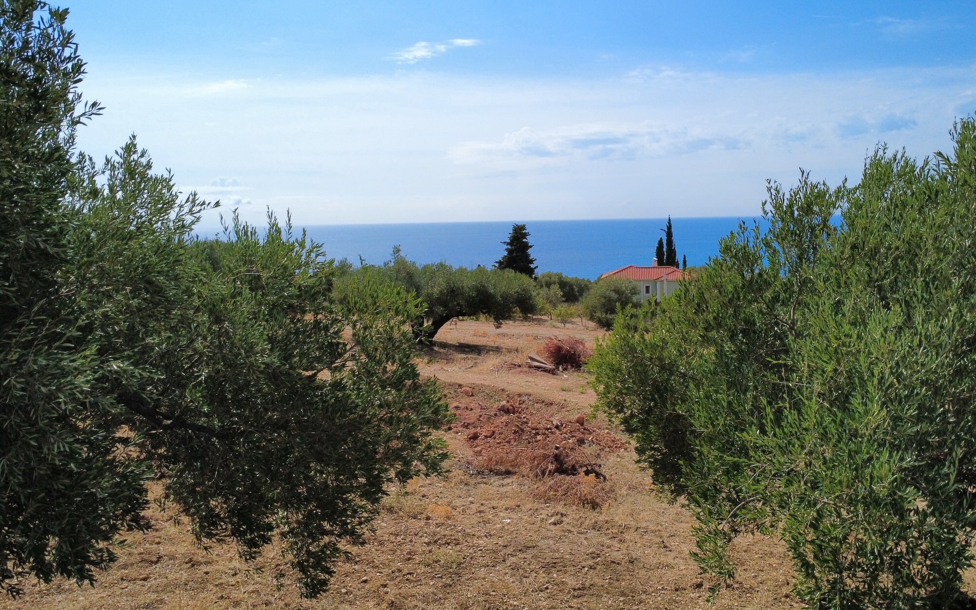 Trapezaki Premium Panoramic Views Plot