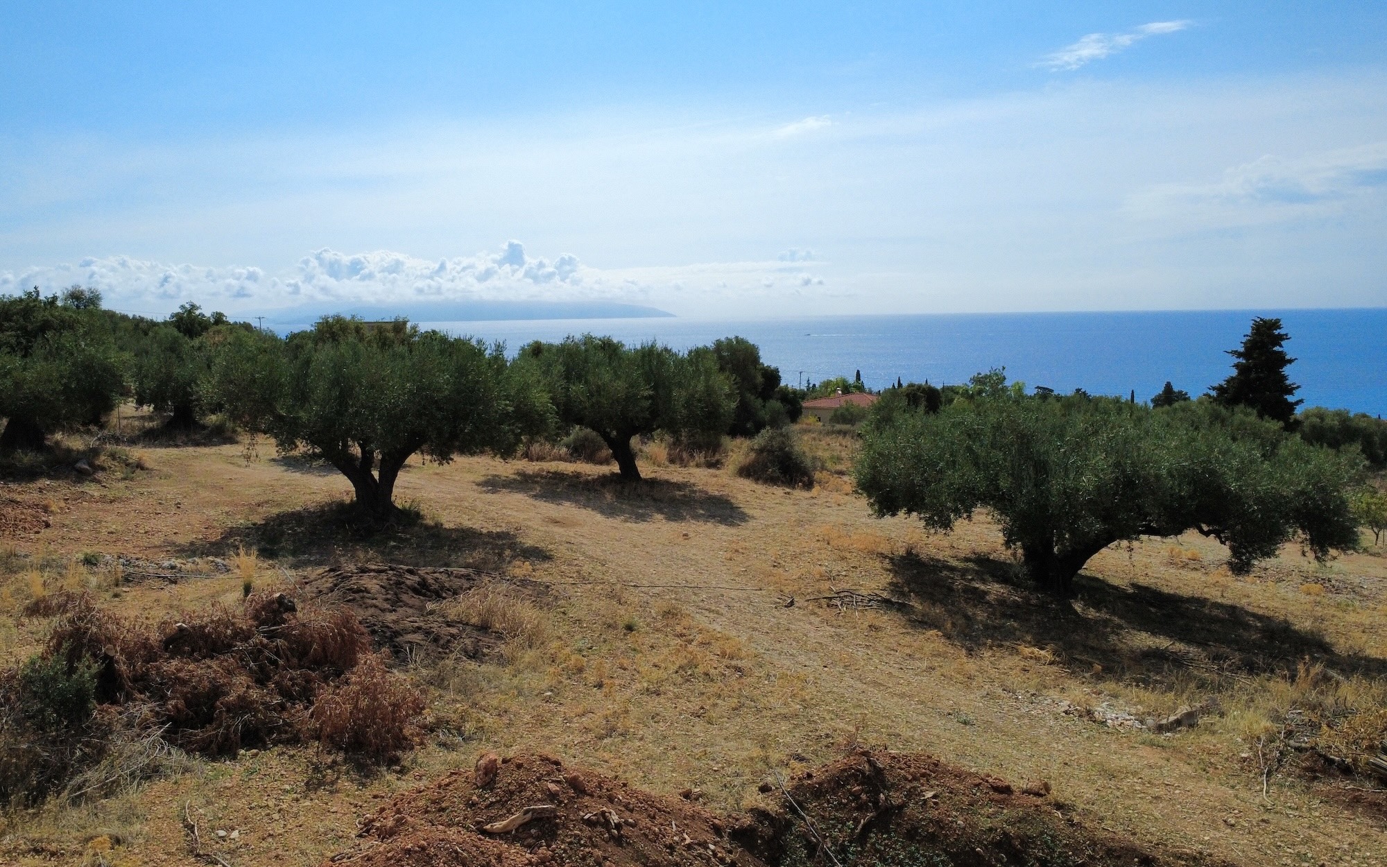 Trapezaki Premium Panoramic Views Plot
