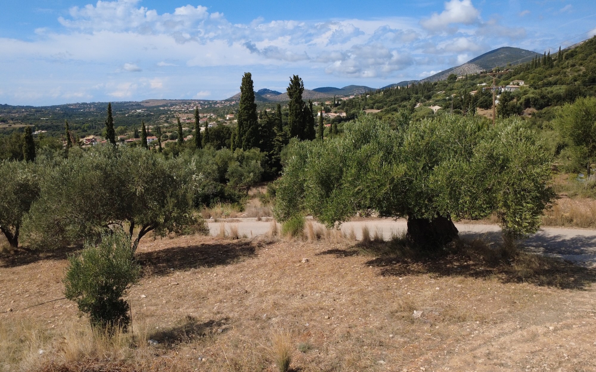 Trapezaki Premium Panoramic Views Plot