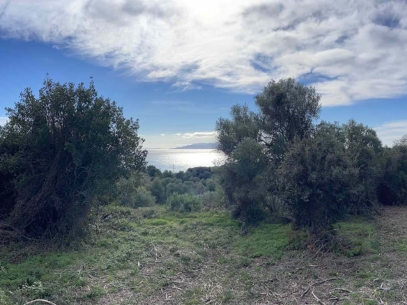 Pessada Sea-Views Plot With Building Permit