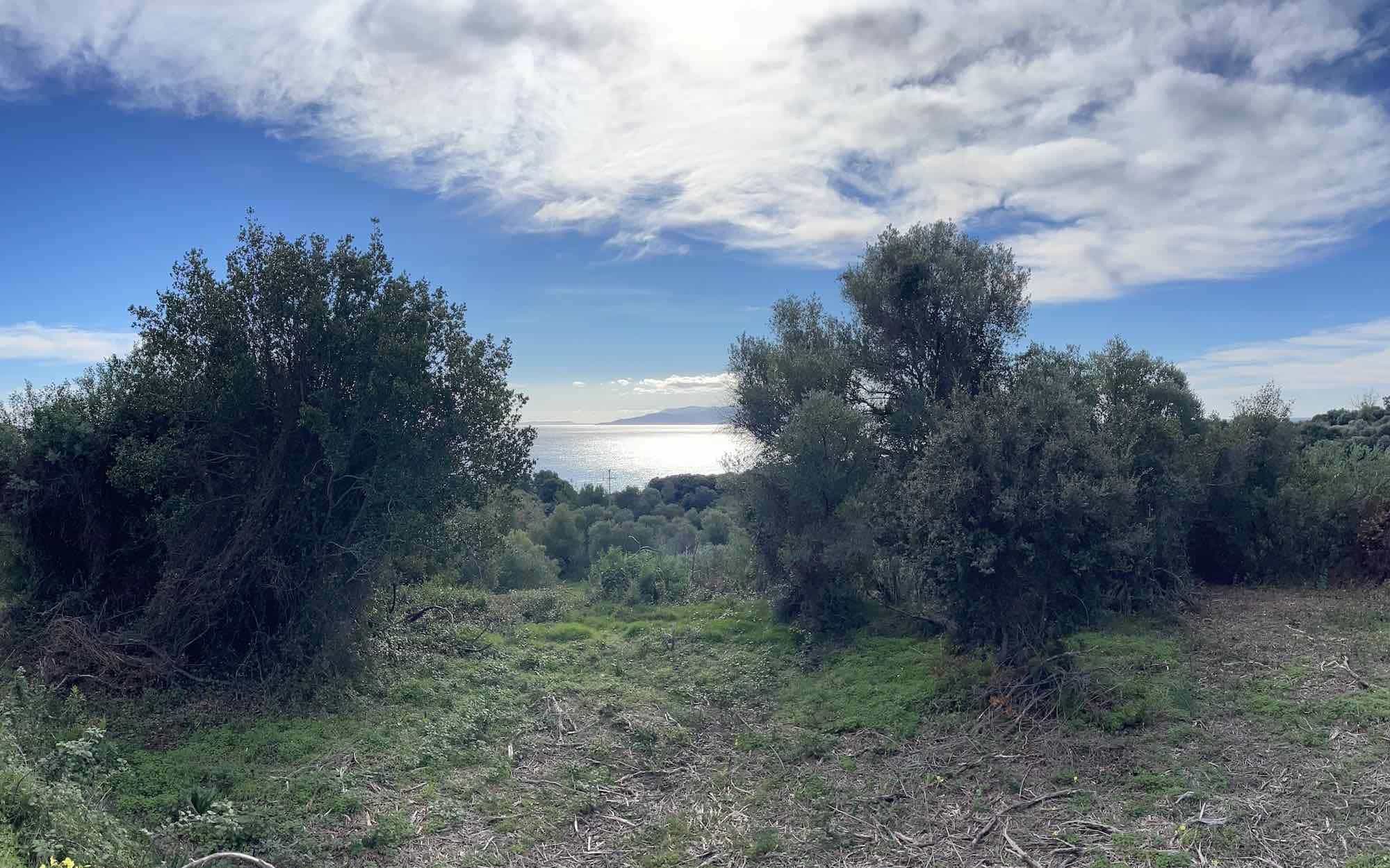 Pessada Sea-Views Plot With Building Permit