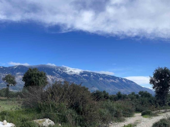 Pessada Sea-Views Plot With Building Permit