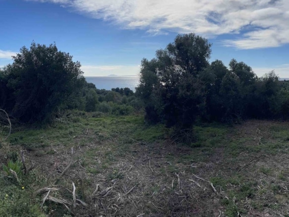 Pessada Sea-Views Plot With Building Permit